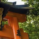 UC Davis Study Abroad, Quarter Abroad Japan, Language & Culture in Kyoto Program, Header Image, Overview Page