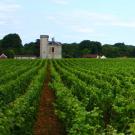 UC Davis Study Abroad, Summer Abroad France, Introduction to Winemaking Program, Header Image, Overview Page