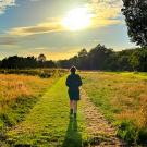 A person walks on a grassy path in a field at sunset, with trees in the background and a large tree to the right.