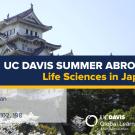 UC Davis Summer Abroad (Life Sciences in Japan)