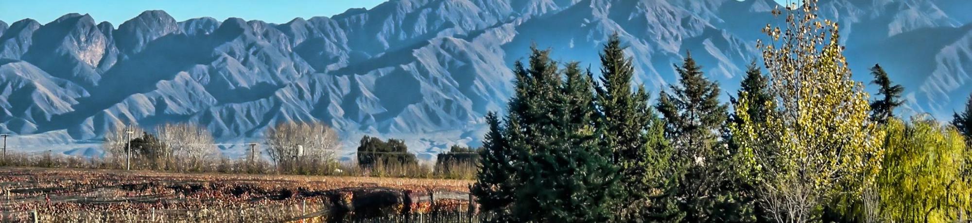 Header Image, Study Abroad in Natural Sciences
